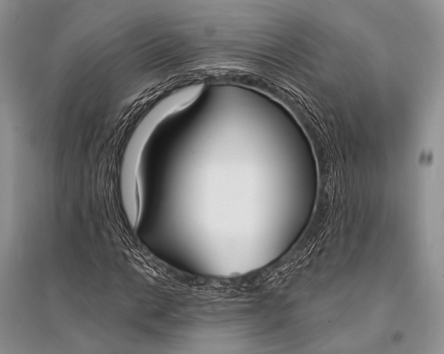 X0000094921014200712201215