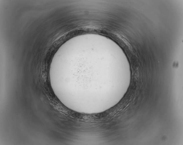 X0000094921015200712201215