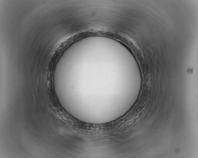 X0000094921016200712201215