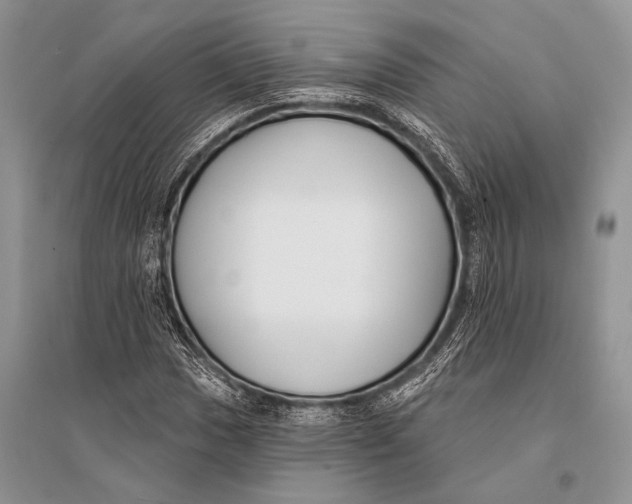 X0000094921017200712201215