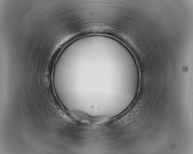 X0000094921018200712201215