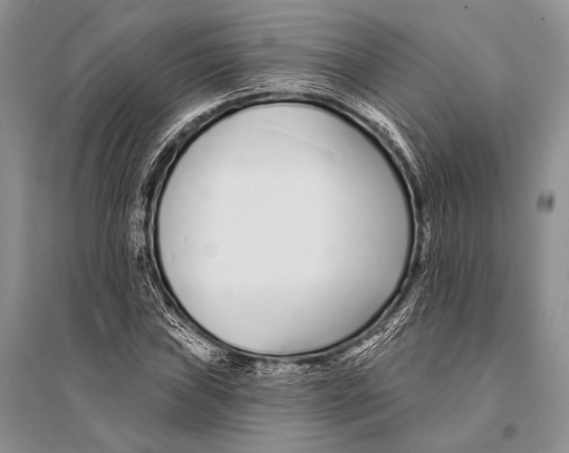 X0000094921019200712201215