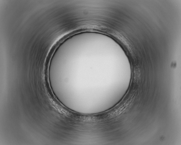 X0000094921020200712201215