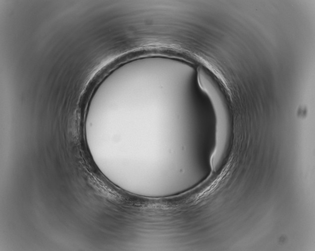 X0000094921021200712201215