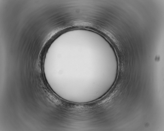 X0000094921022200712201215