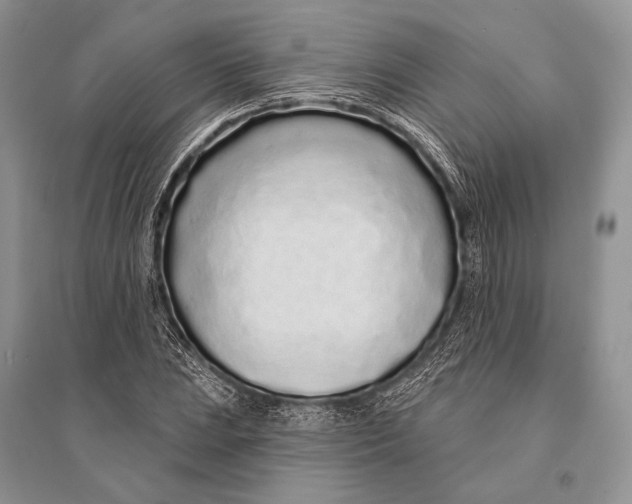 X0000094921023200712201215