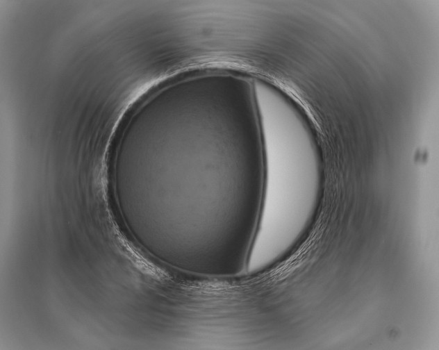 X0000094921024200712201215