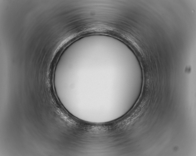 X0000094921026200712201215