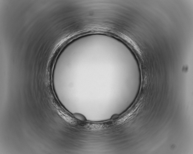 X0000094921027200712201215