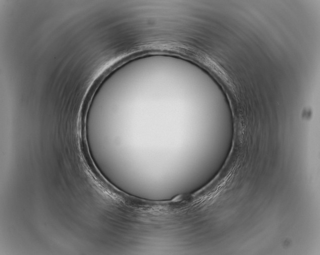 X0000094921028200712201215