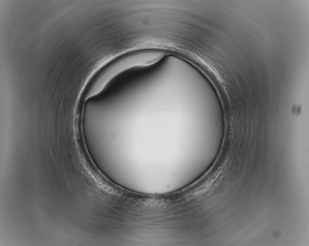 X0000094921029200712201215