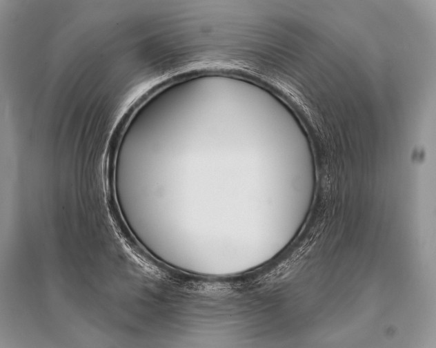 X0000094921030200712201215