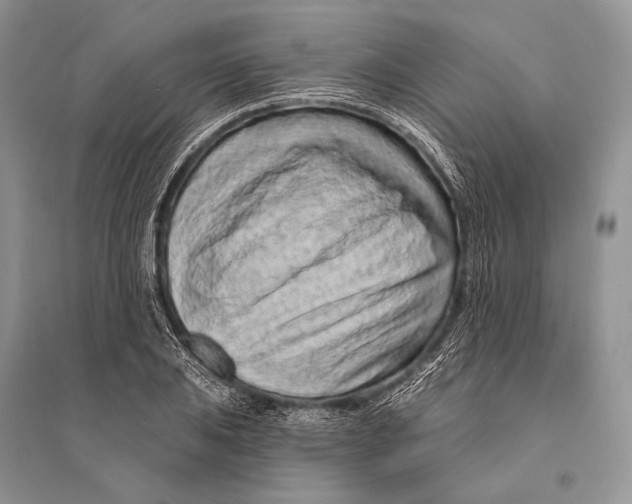 X0000094921031200712201215