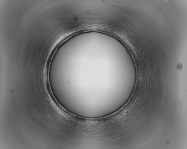 X0000094921032200712201215