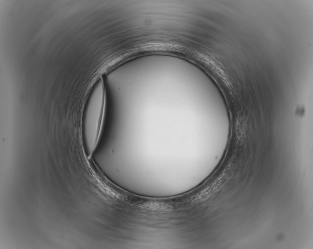 X0000094921033200712201215