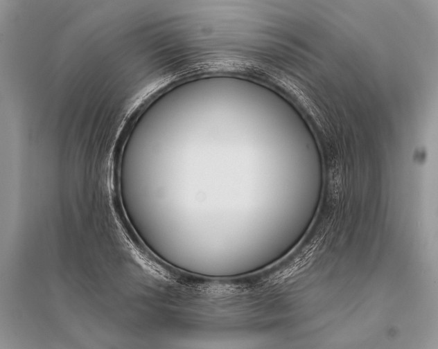 X0000094921034200712201215