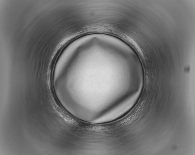 X0000094921035200712201215