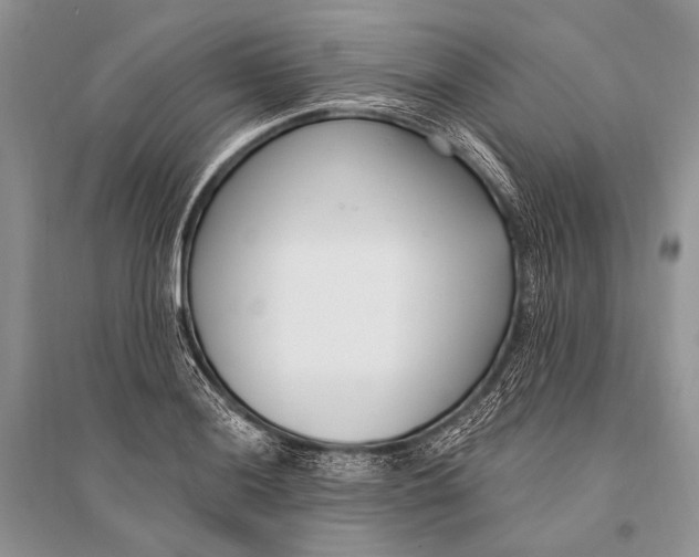 X0000094921036200712201215