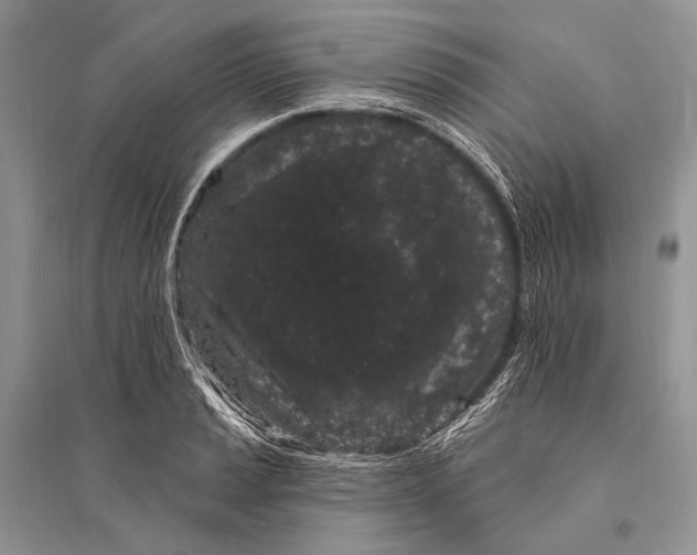 X0000094921037200712201215