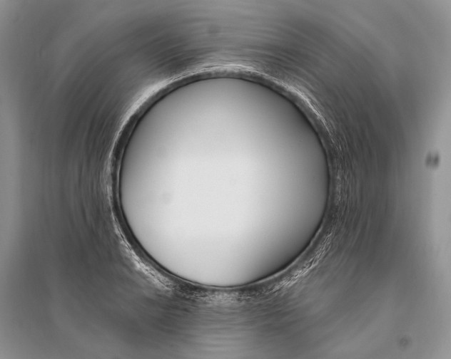 X0000094921038200712201215