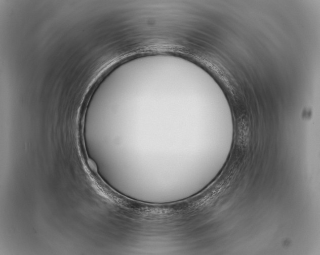 X0000094921039200712201215