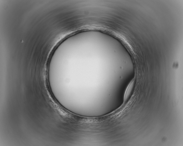 X0000094921040200712201215