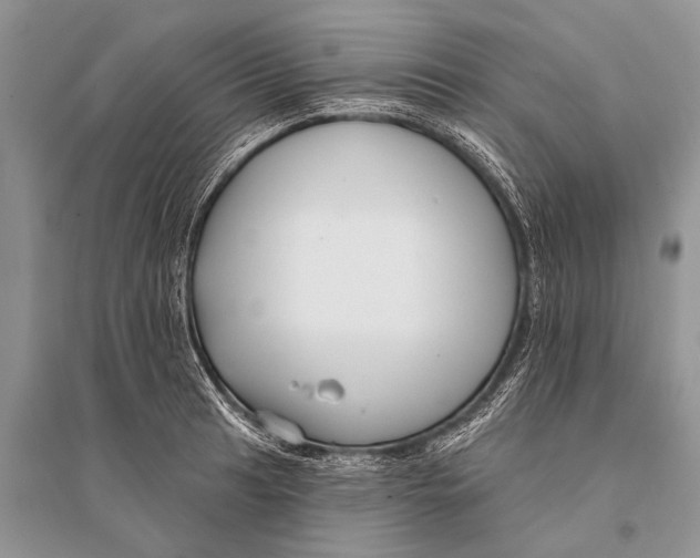 X0000094921041200712201215