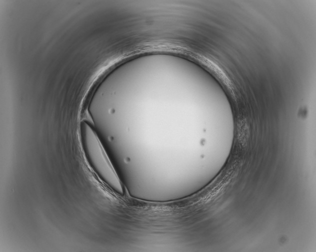 X0000094921043200712201215