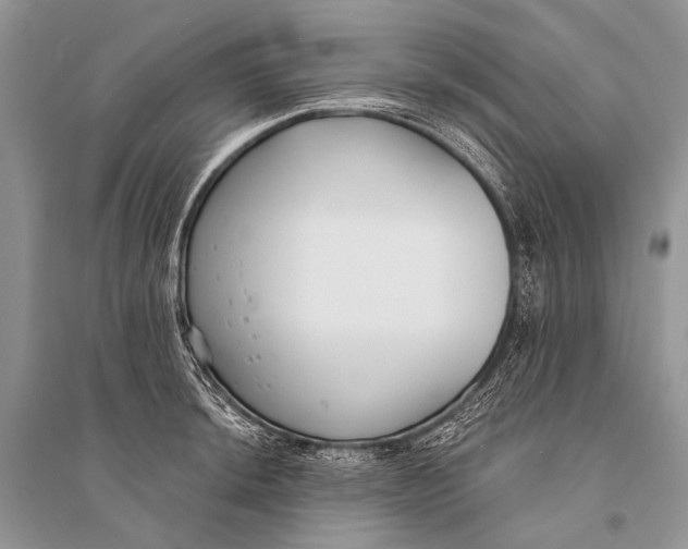 X0000094921044200712201215