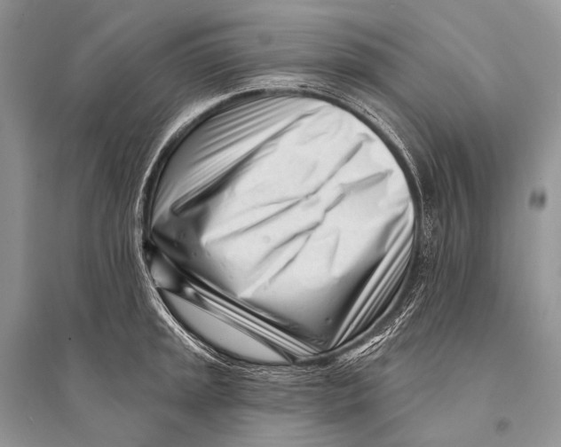 X0000094921045200712201215