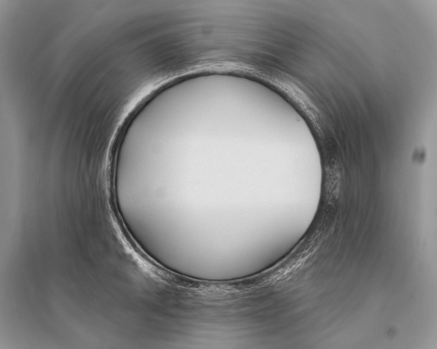 X0000094921046200712201215