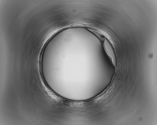 X0000094921047200712201215