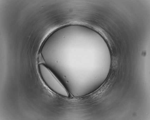 X0000094921048200712201215