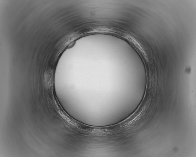 X0000094921049200712201215