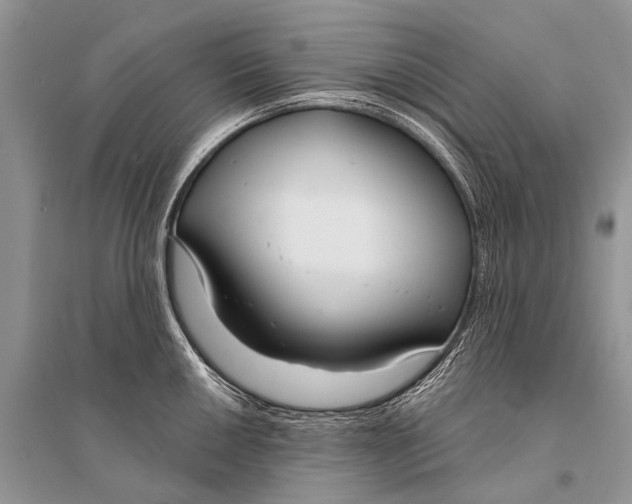 X0000094921050200712201215