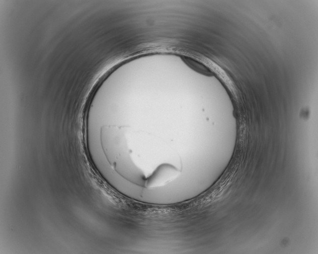 X0000094921051200712201215