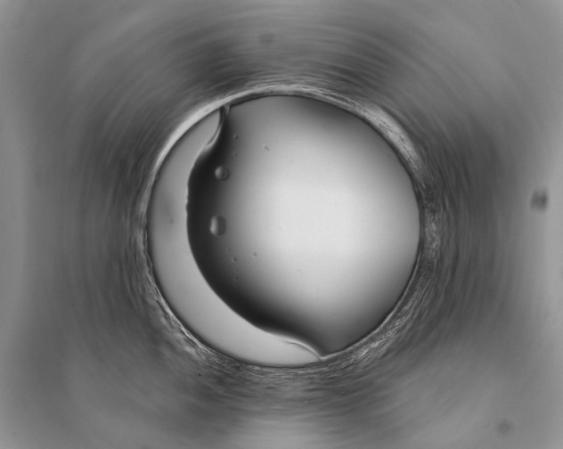 X0000094921052200712201215