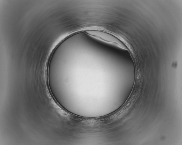 X0000094921054200712201215