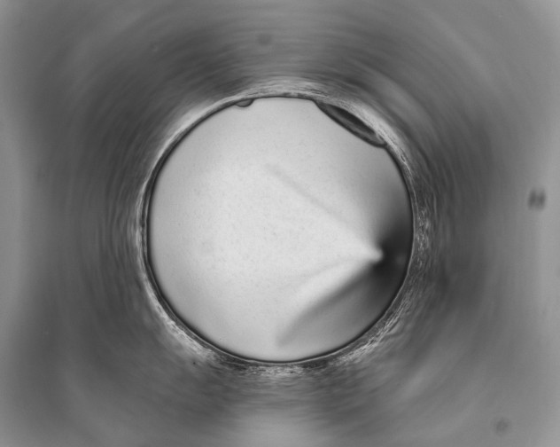 X0000094921055200712201215