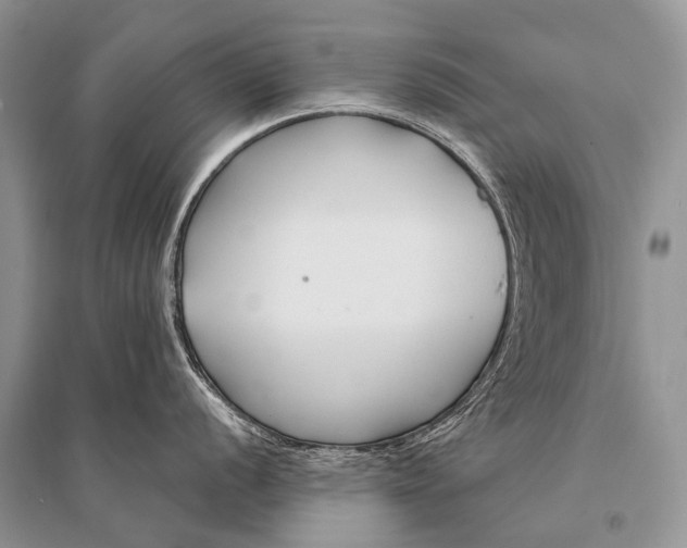 X0000094921056200712201215