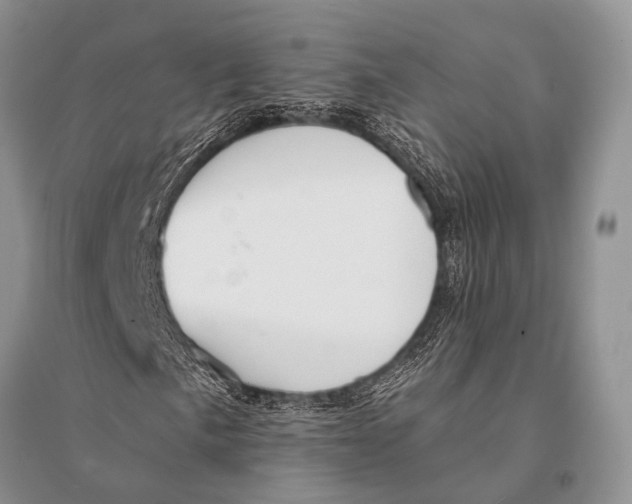 X0000094921057200712201215