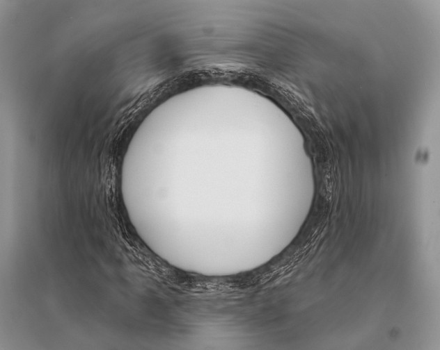 X0000094921061200712201215