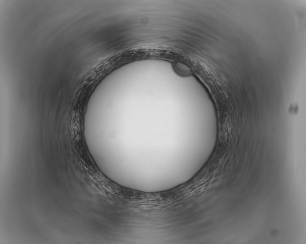 X0000094921062200712201215