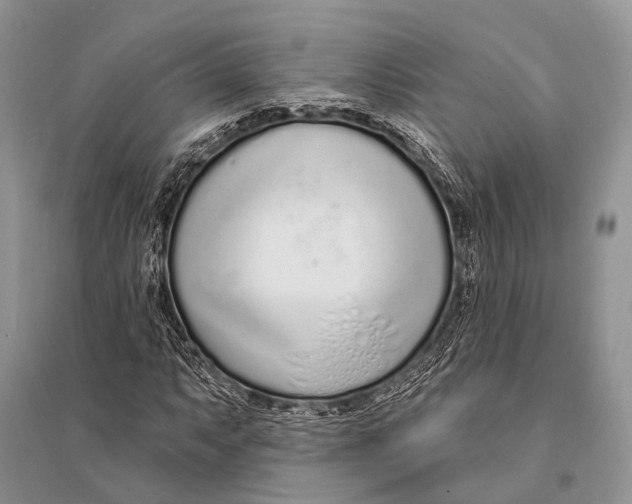 X0000094921063200712201215