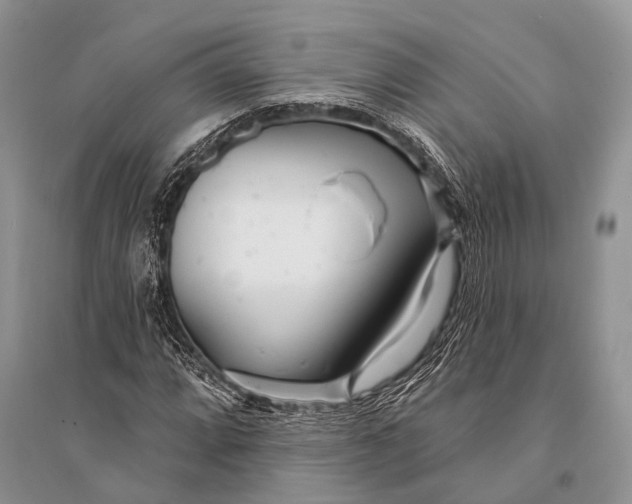 X0000094921064200712201215