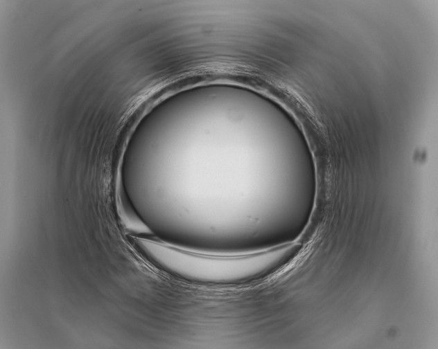 X0000094921065200712201215