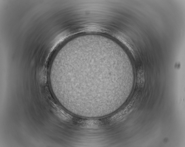 X0000094921067200712201215