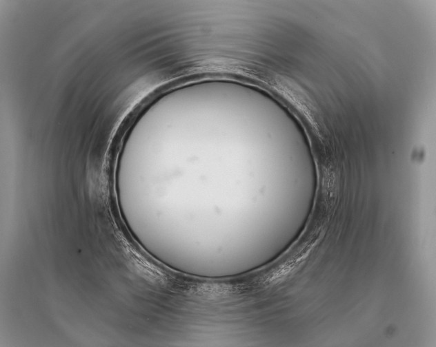 X0000094921068200712201215