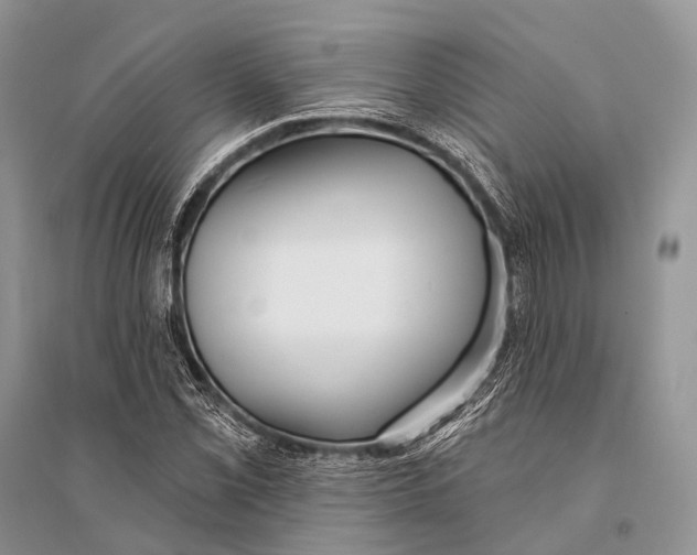 X0000094921069200712201215