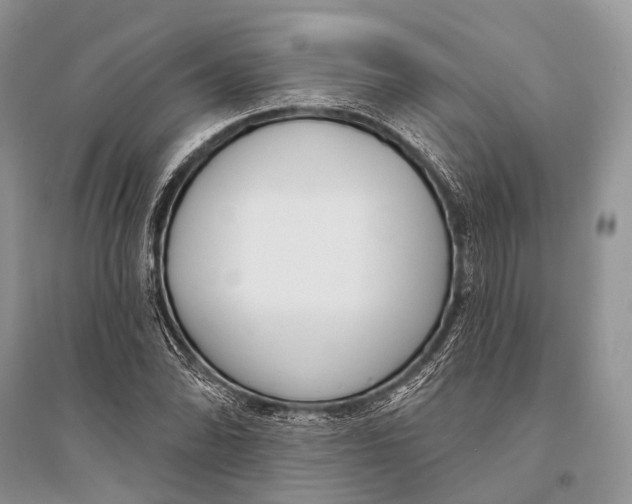 X0000094921070200712201215